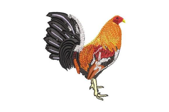 Colorful Rooster Embroidery Design