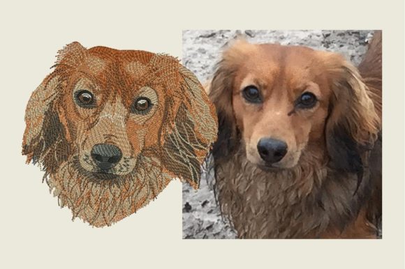 Longhaired Dachshund Embroidery